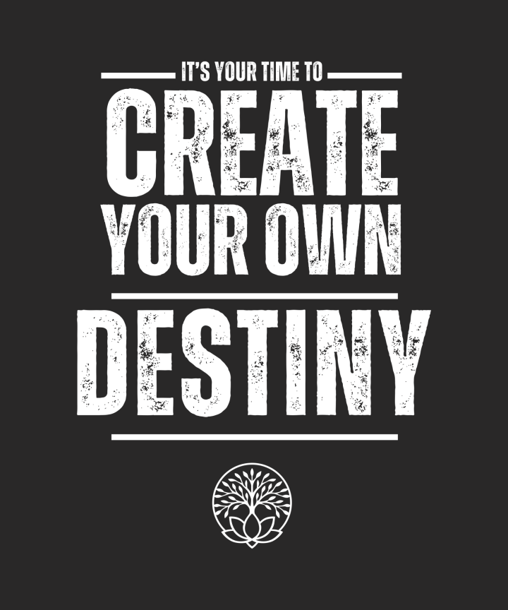 Tshirt DESTINY rev b copy